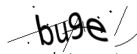 captcha_img